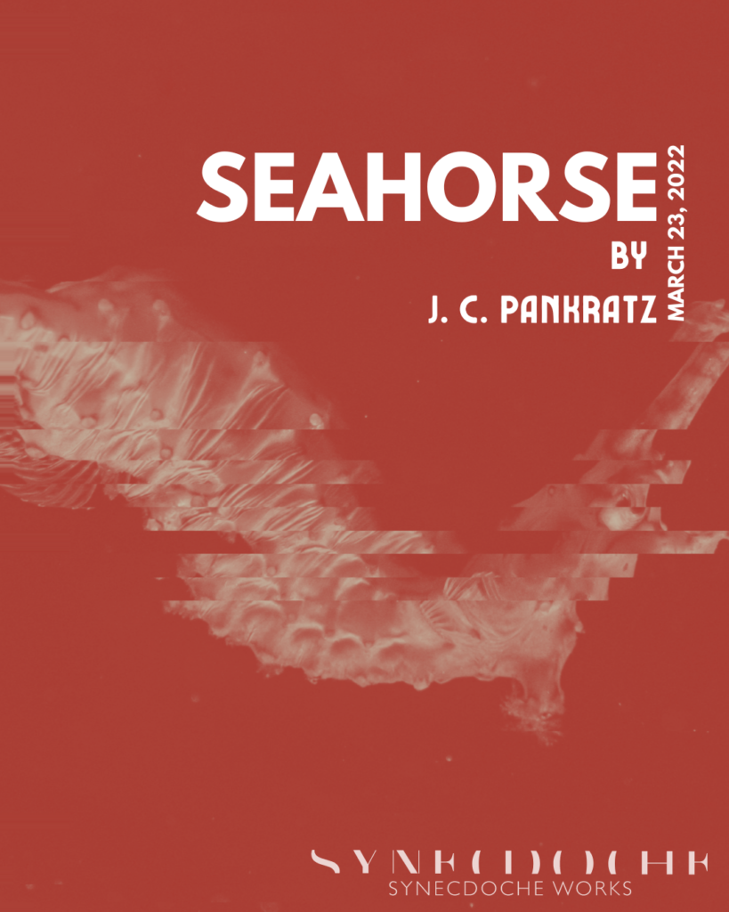 Synecdoche Works is pleased to announce the cast of Seahorse, by J. C. Pankratz